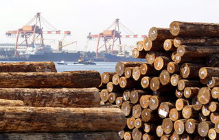 日本木材出口量达到历史新高,主要销往中国