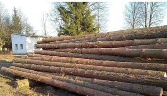 哈萨克斯坦临时禁止木材出口